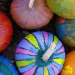 birds eye view of several brightly colored pumpkins