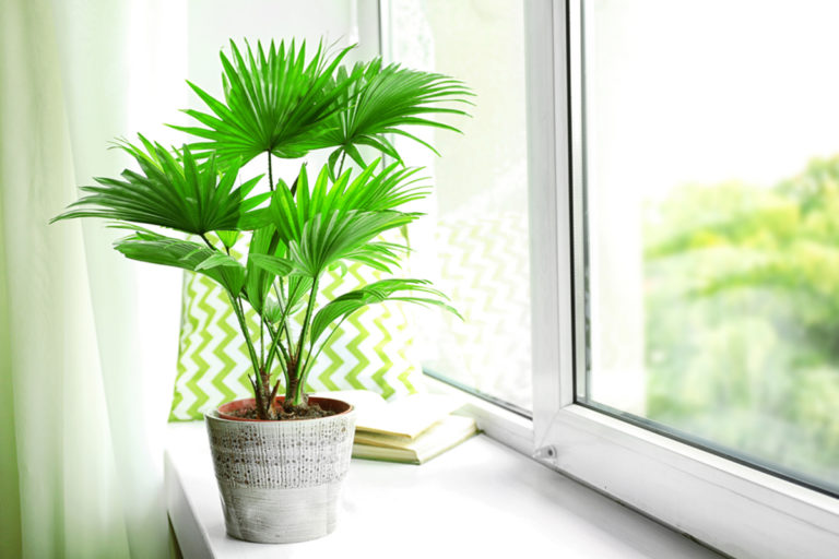 3-simple-ways-to-improve-your-indoor-air-quality-fnhw-blog