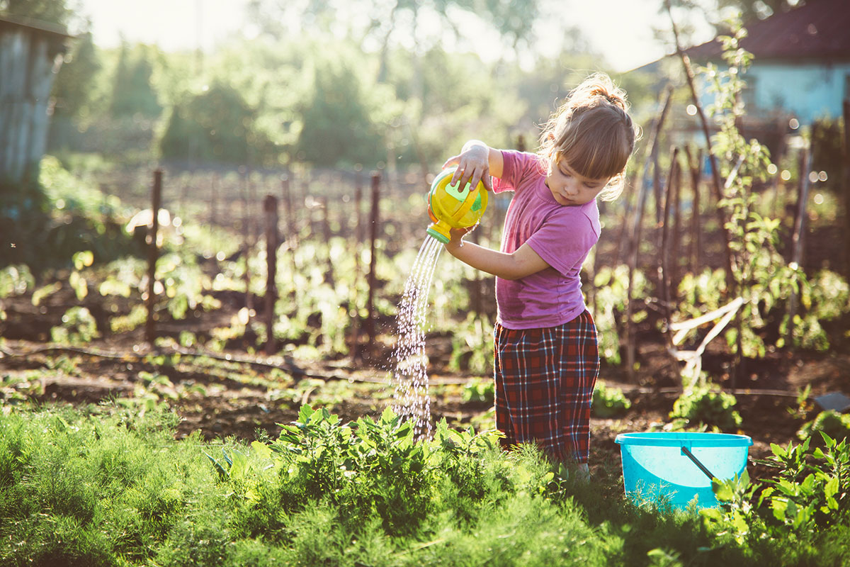 image of a young girl pouring water on plants