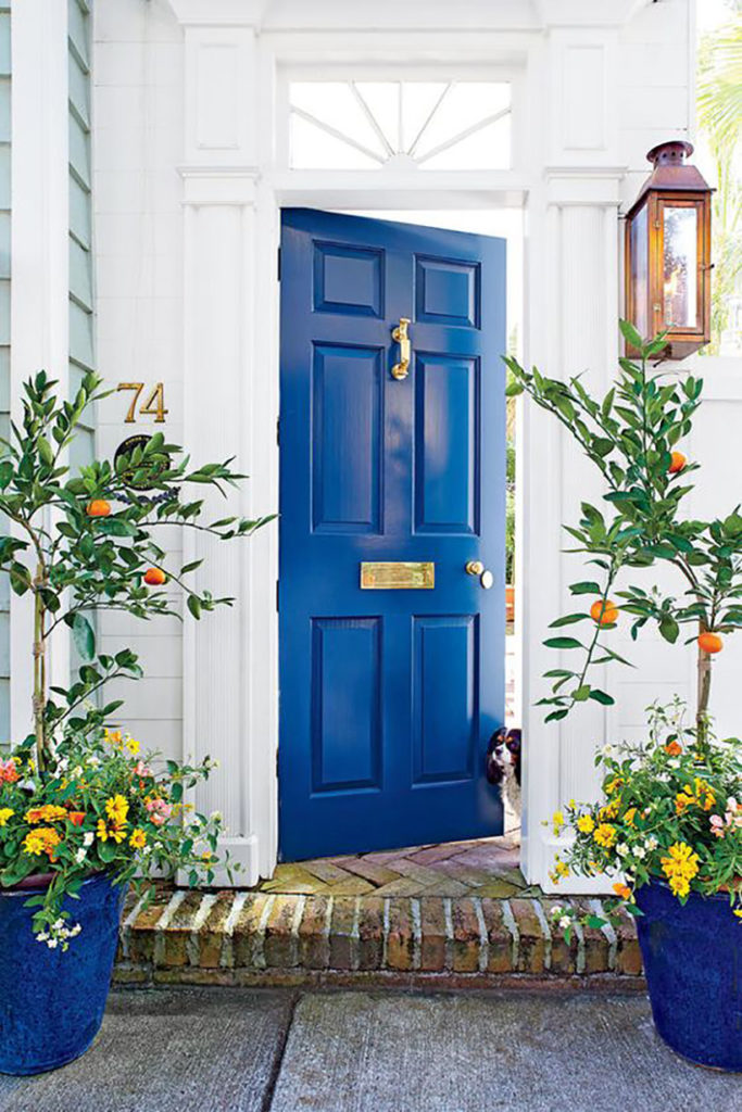 blue front door on white house between two orange trees in blue pots