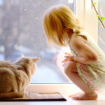 a little girl and cat look out a window together