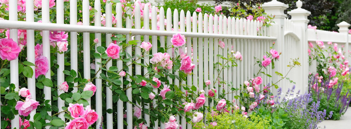 white picket fence covered in pink flowers