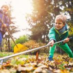 boys rake leaves in fall
