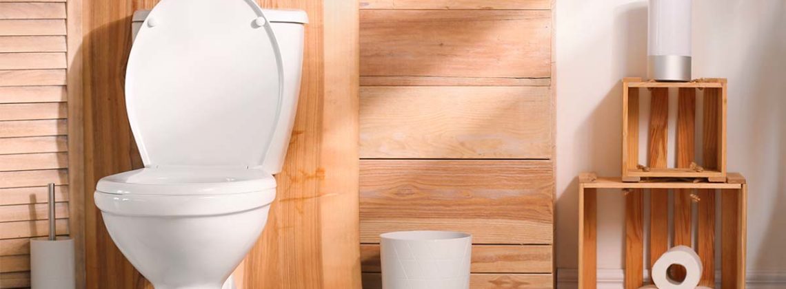 clean white toilet against wood wall