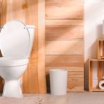 clean white toilet against wood wall