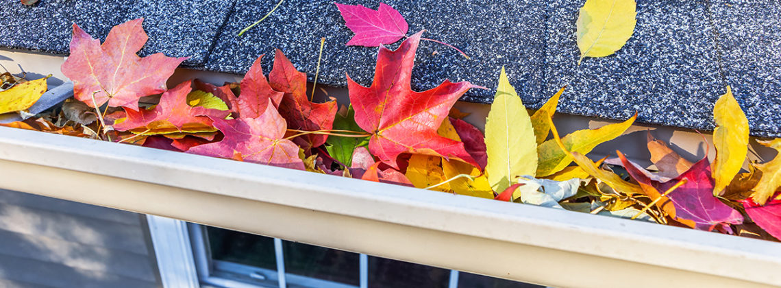 autumn leaves on a roof and in gutter