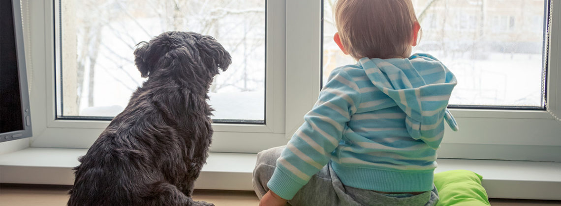 toddler and small dog look out window to snow