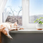 how to get your windows ready for cooler temps