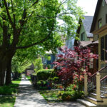 Spring has arrived in a residential neighborhood of Chicago