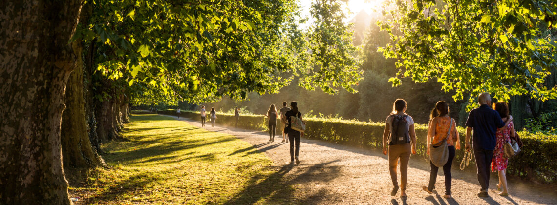 People strolling down a sunlit walking path bordered by trees.