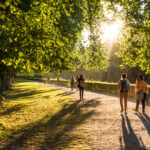 People strolling down a sunlit walking path bordered by trees.