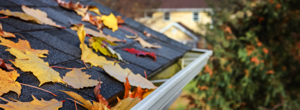 Close up of asphalt shingled roof with fall leaves and a gutter