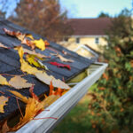 Close up of asphalt shingled roof with fall leaves and a gutter