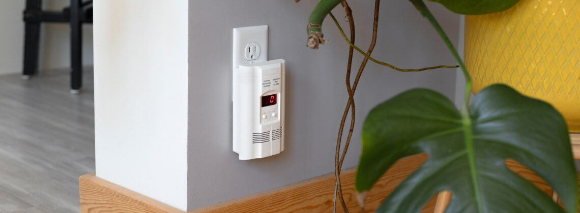 Monstera plant with carbon monoxide detector behind it plugged into the wall