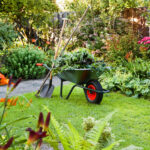 Wheel barrow with yard tools in the garden
