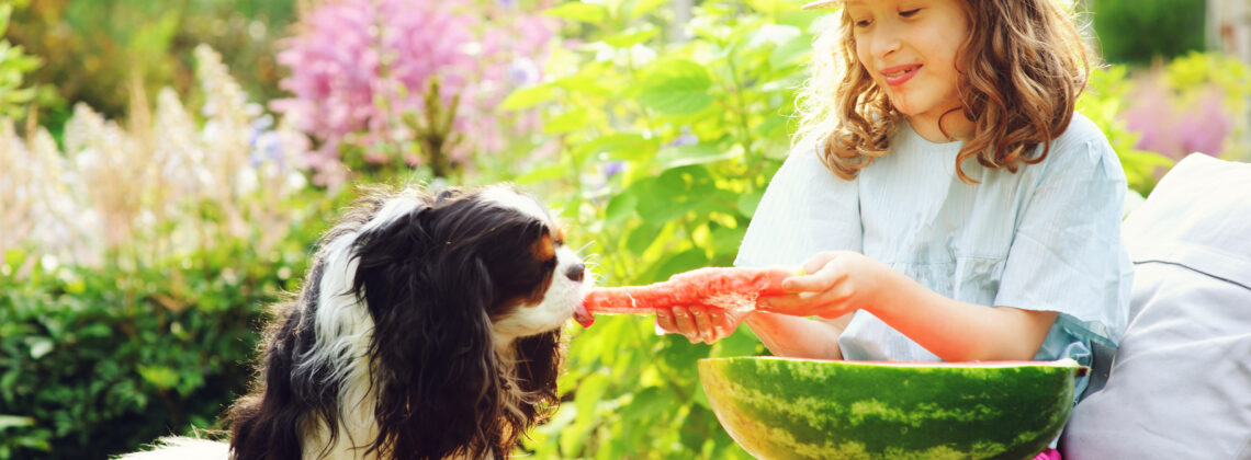 Girl and dog sharing a slice of watermelon
