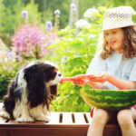 Girl and dog sharing a slice of watermelon