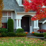 white house with lawn with fall leaves scattered on it and a tree with autumnal colors